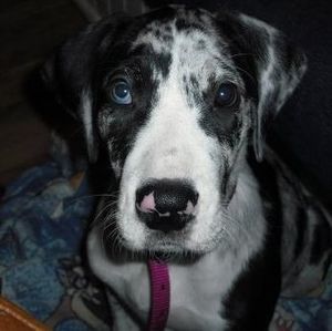 Meet your Posher, Kelsey